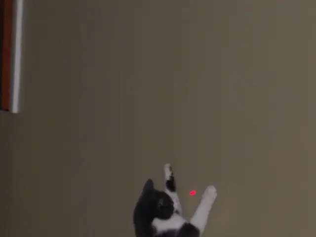 Hair removal via lasers: Pros and cons for individuals with hidradenitis suppurativa (HS)