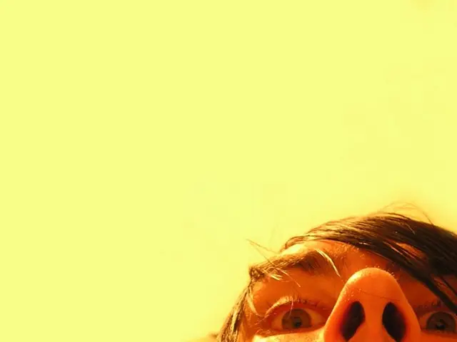 Nasal Redness: Exploration of Causes, Remedies, DIY Solutions, and More