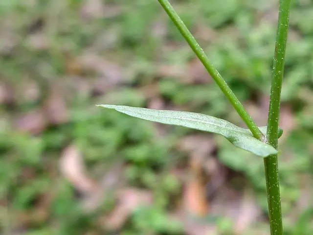 Fundraising Secured to Increase Intellectual Property Stem Cell (iPSC) Offerings and Commercial...