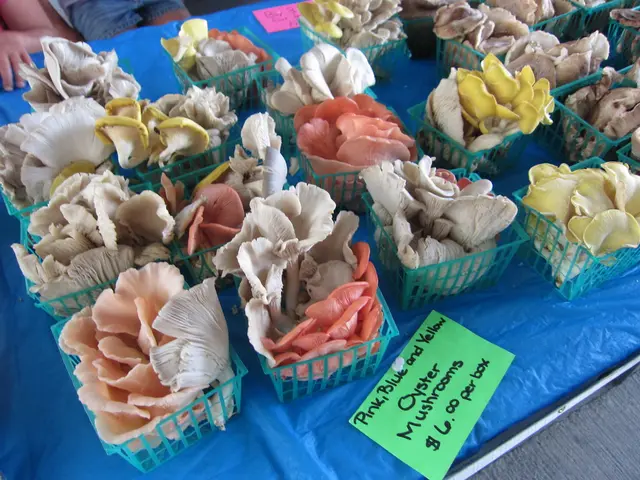 Mushroom Beverage Industry Forecasted to Reach a Value of 7.4 Billion Dollars by 2034 | Anticipated...