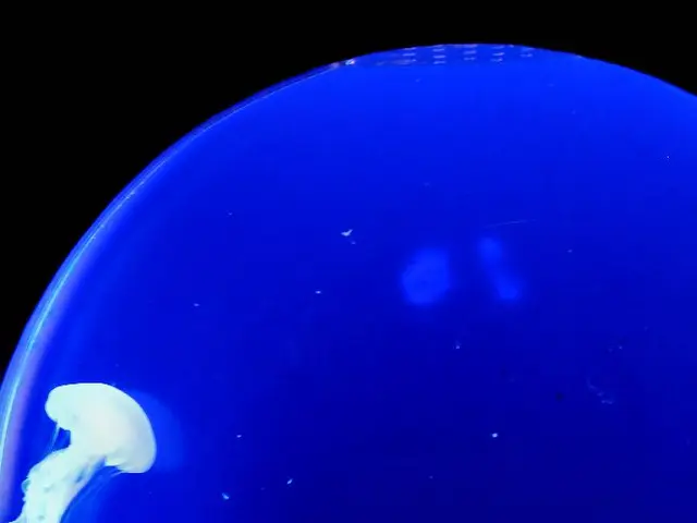 Researcher and Scripps alumnus receives accolades for research excellence and mentorship...