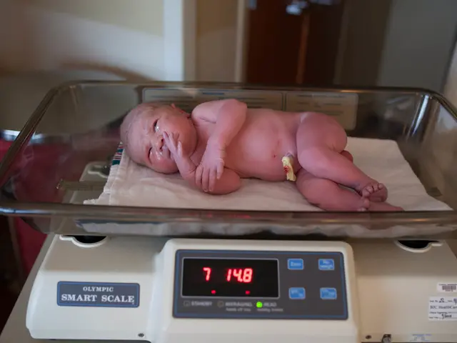 Chart Detailing Typical Weight Increase in Breastfed Infants