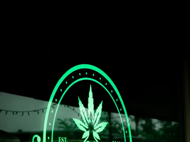 New York City family-operated Tribeca cannabis dispensary, along with 89 others, finds itself in a...