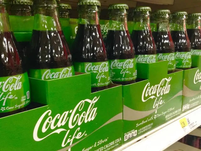 Brain Enhancement: Essential Information to Consider