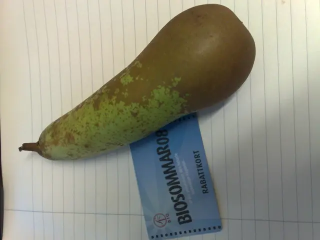 Connection between Gout and Diabetes: Examining the Relationship