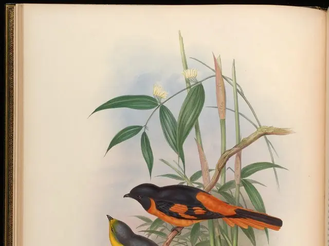 Examining the Nutritional Requirements: A Handbook on Budgerigar Maintenance