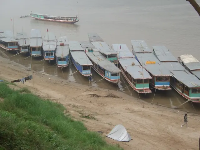 Girl Consumes Hash Brownies, Requires Rescue by Fireboat