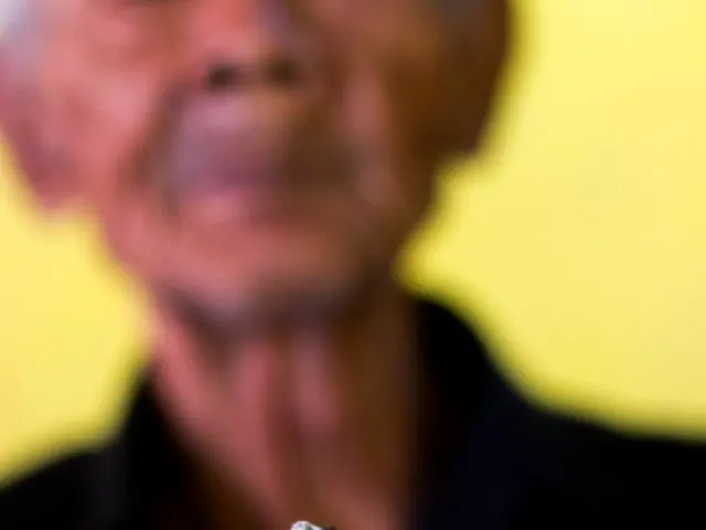 Rise in sales of finely-cut and pipe tobacco observed during the year of the COVID-19 pandemic