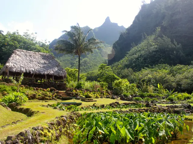 Warm-weather season returns