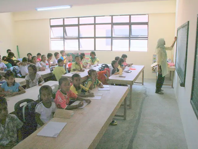 Classroom Enhancement with Cognitive Enhancers: Aids for Instructors to Maintain Optimal Mental...