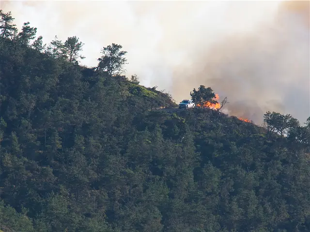 Health professional specializing in allergies manages patients affected by wildfire fumes at UW...