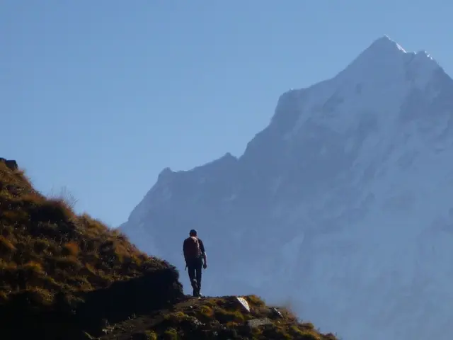 These Top 8 Hiking Boots and Shoes, as certified by a Health Editor, are the best options available...