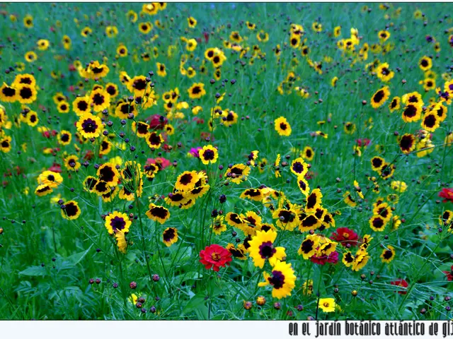 Space Annealing: NASA's Rescue of JunoCam's Orbit Around Jupiter