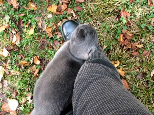 Skin System: Role, Components, and Health Issues