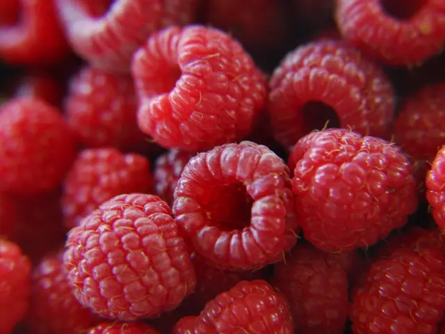 Fungal infection affecting raspberries and blackberries