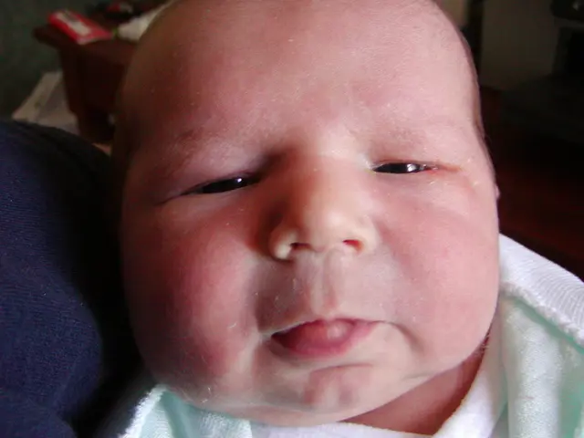 Birth of Calvin Harris's Son Sparks Debate over Placenta Consumption as a Delicacy