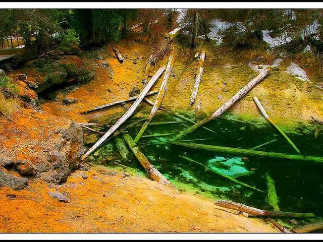 Support for Healthy Brain Aging Provided by Maritime Pine Bark Extract (MPBE)