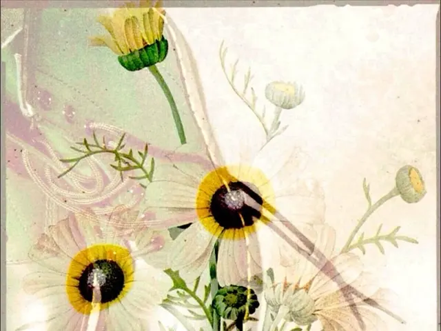 Arthritis in the big toe: Origin, indicators, and remedies