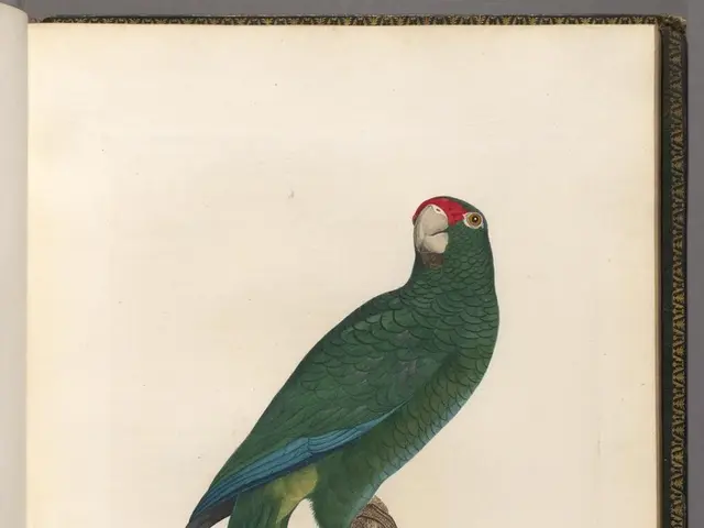 Modern Health Strategies at Mayberry Focused on Optimal Wellness and Lifespan Extension