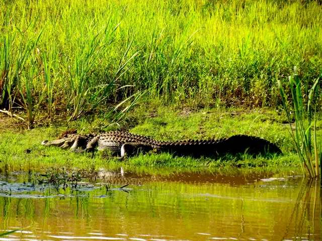 Captured carbon dioxide bubbles infused into water are displayed