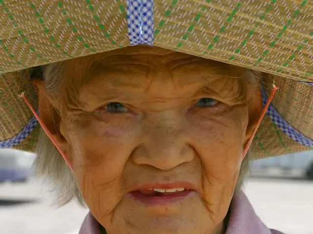 Older adult participants' performance in two different deceit detection training programs compared