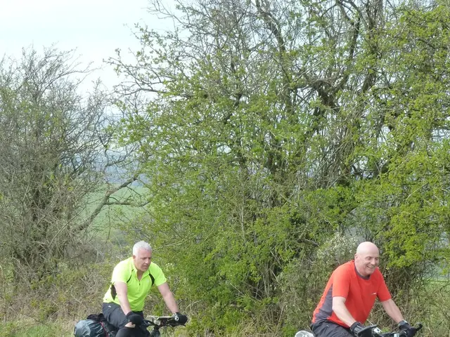 CBD Benefits and Top Products Highlighted