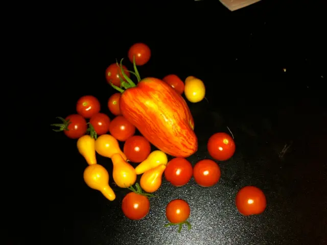 Fruits boasting the greatest sugar content