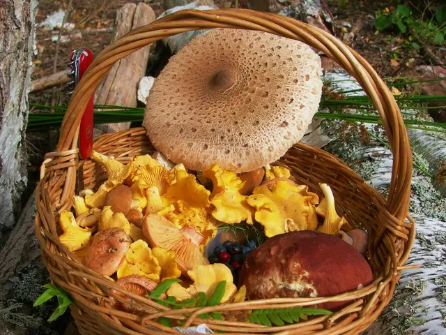 Establishing a Comprehensive ERP Strategy for Clinical and Business Functions