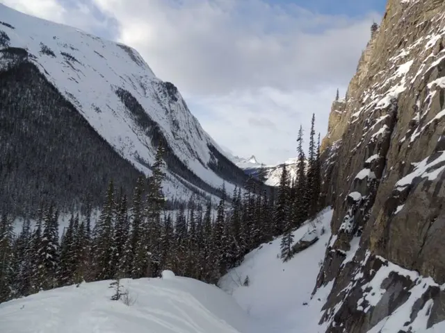 occurrence of common cold and flu increases in colder weather