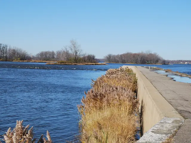 Centenarian secrets from 'Blue Zones': Lifestyle traits shared by regions boasting a decade-high...