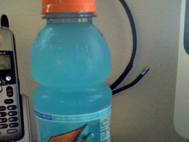 Significance of SAP Assessment Process and Expert Guidance in Georgia's Recovery Journey