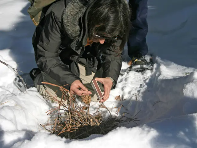 Winter Psoriasis Care: Strategies for Managing Psoriasis During Cold Weather