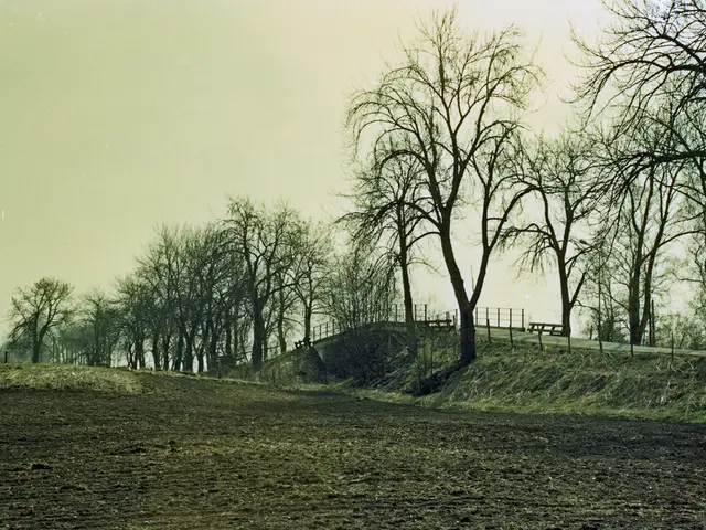 Wim Wenders has awoken earlier today.