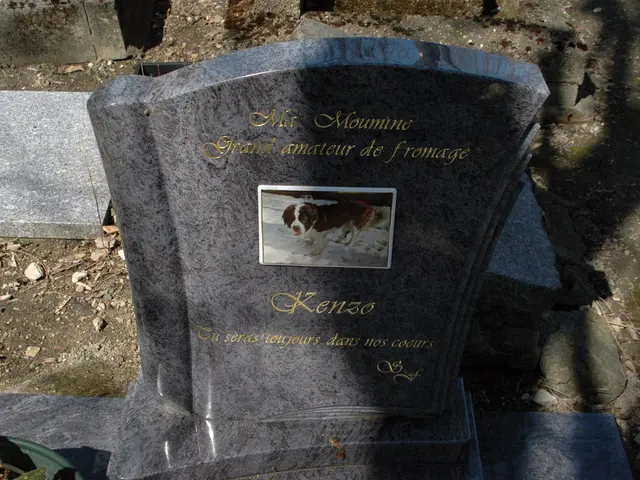 Interpreting the symbolism behind dreams of visiting or encountering cemeteries