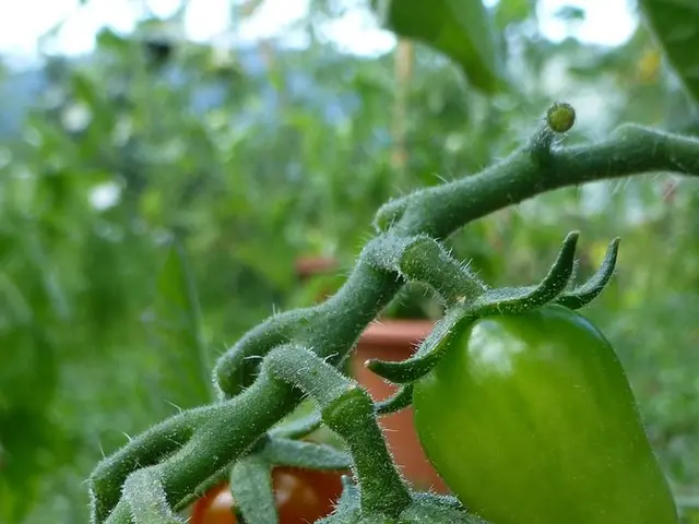 Cosmic Chemistry: Definition and In-depth Analysis - Glossary of Astrochemistry