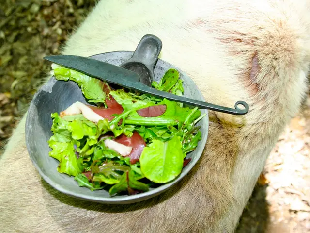 Shigellosis Explained: An Overview of This Intestinal Infection