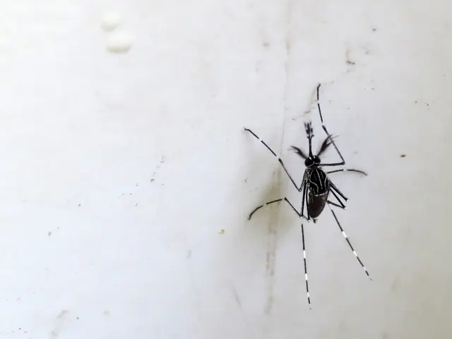 Confirmed initial instance of West Nile Virus in Kentucky; authorities advise citizens to take...