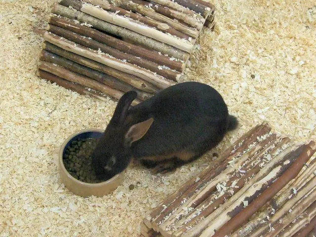 Virus-affected rabbits in Colorado are growing unusual "horns". Scientists assure public that...