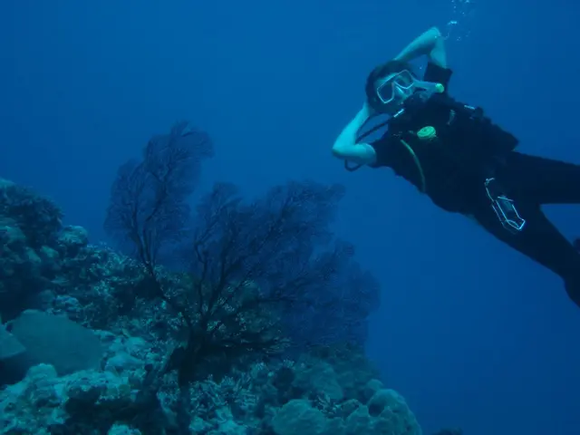 Investigation Outlines Avoidable Causes in the Titan Submarine Catastrophe