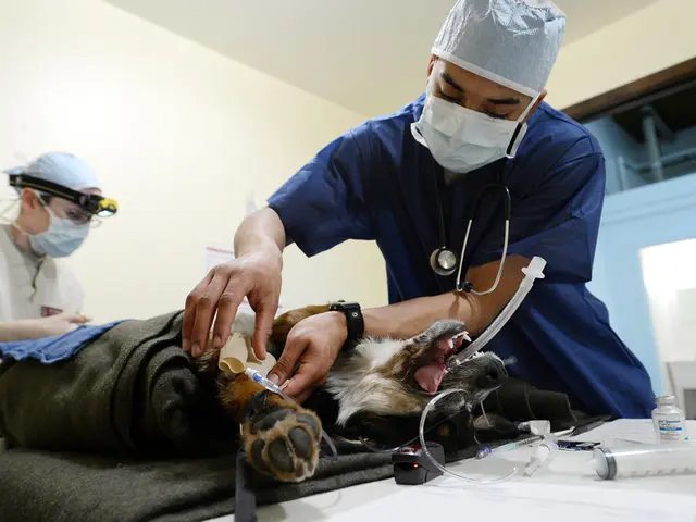 Company Survey Reveals Desire for Expanded Medical Services Provided by the In-House Medical...