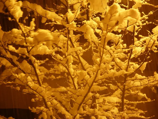 Persistent Dryness: Explanation for Skin Remaining Desert-Like Despite Moisturizing Efforts