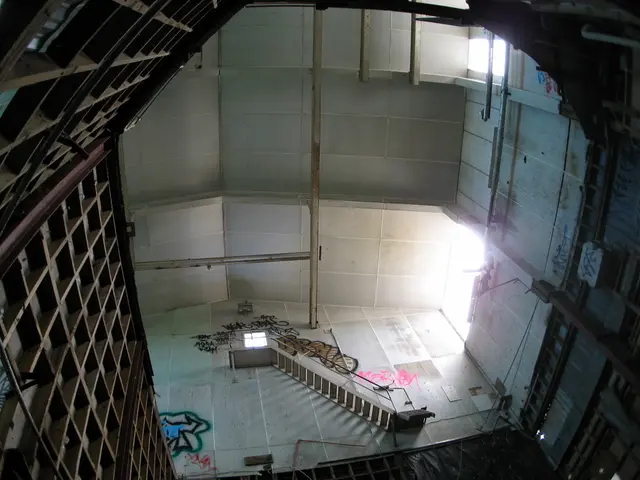 Pregnancy-related Neurodevelopmental Disabilities: Timeline and Locations Where Brain Development...