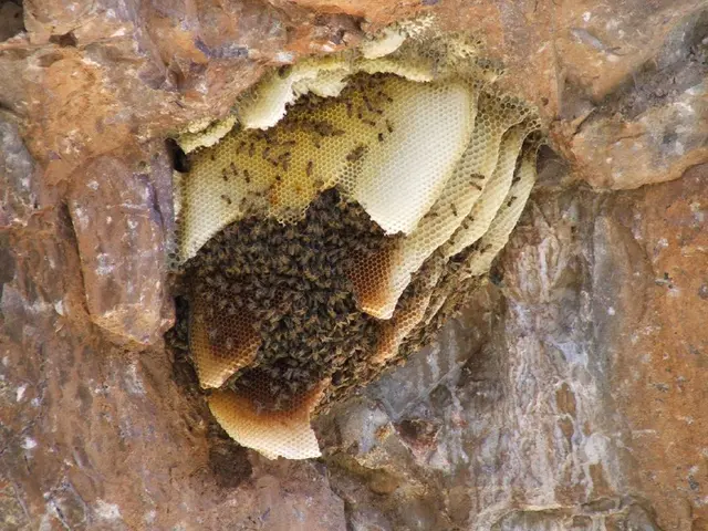 Skin irritation and persistent welts: Understanding causes and remedies