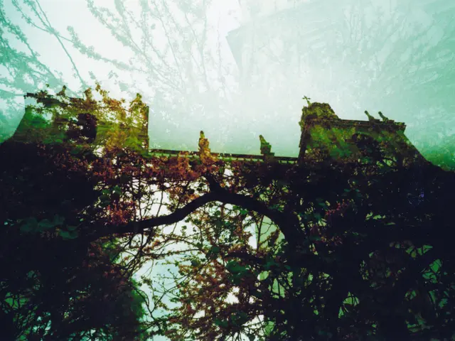 Senate Allocates €45 Million for a Mill Dams Bridge and Gene Therapy Project