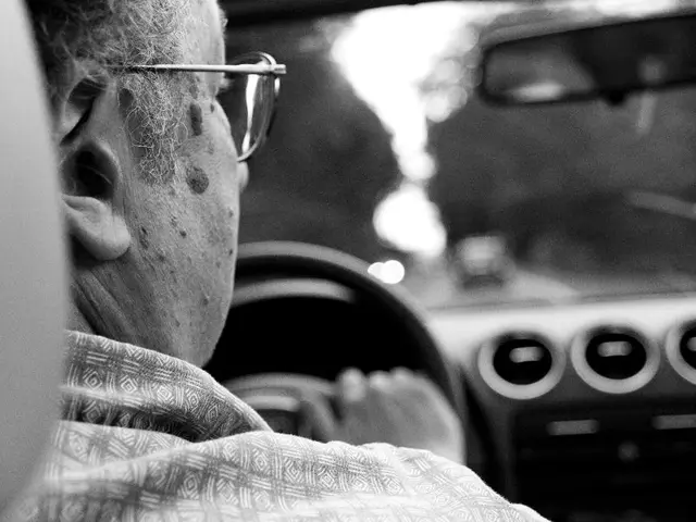 Car Driving essentials: a rundown of vital information