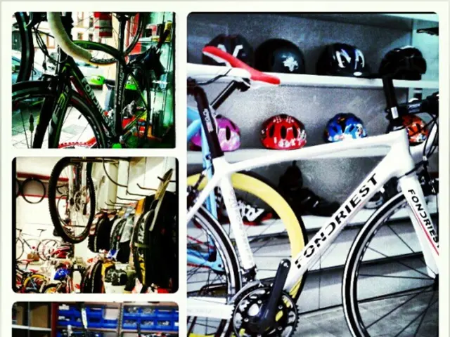 Bikers United for Military Recovery: The Therapeutic Journey of Ex-Military Service Members on Two...