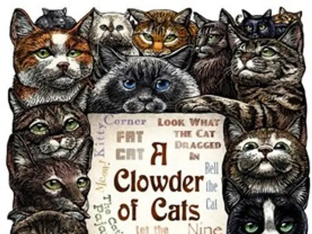 Monkeypox Examined: Symptoms, Visuals, and Remedies