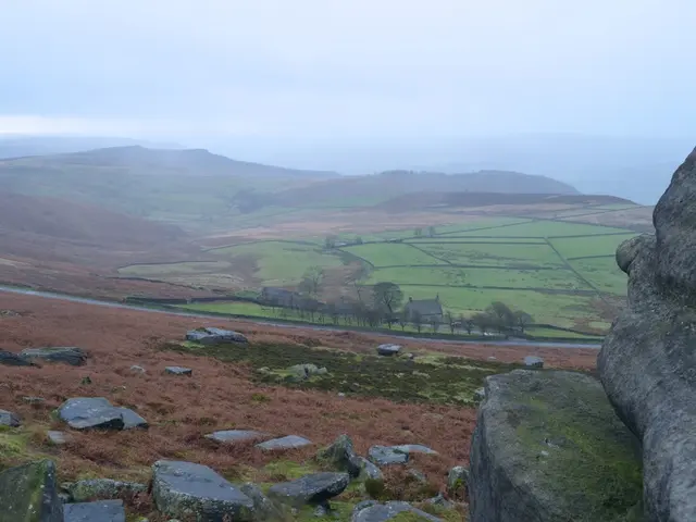 Marking Ayurveda Day 2024: Tapping into AYUSH's Global Health Capabilities