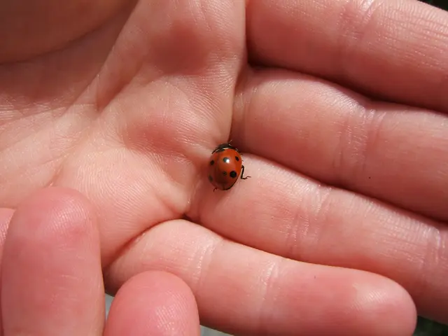 Spasticity of the upper limb: An overview.