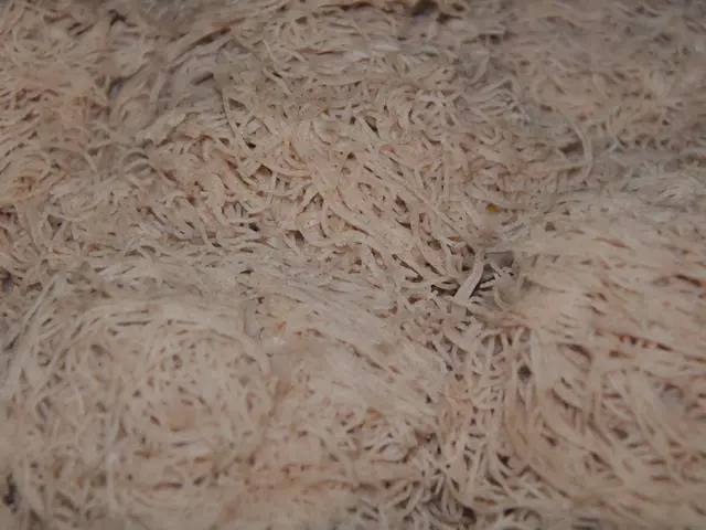 Low-Carb Substitutes for Pasta and Noodles: A Guide to 11 Options